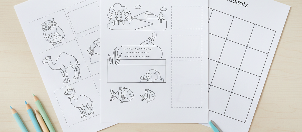 Habitats dos animais atividades ano 3: o que mudou depois de 3 testes